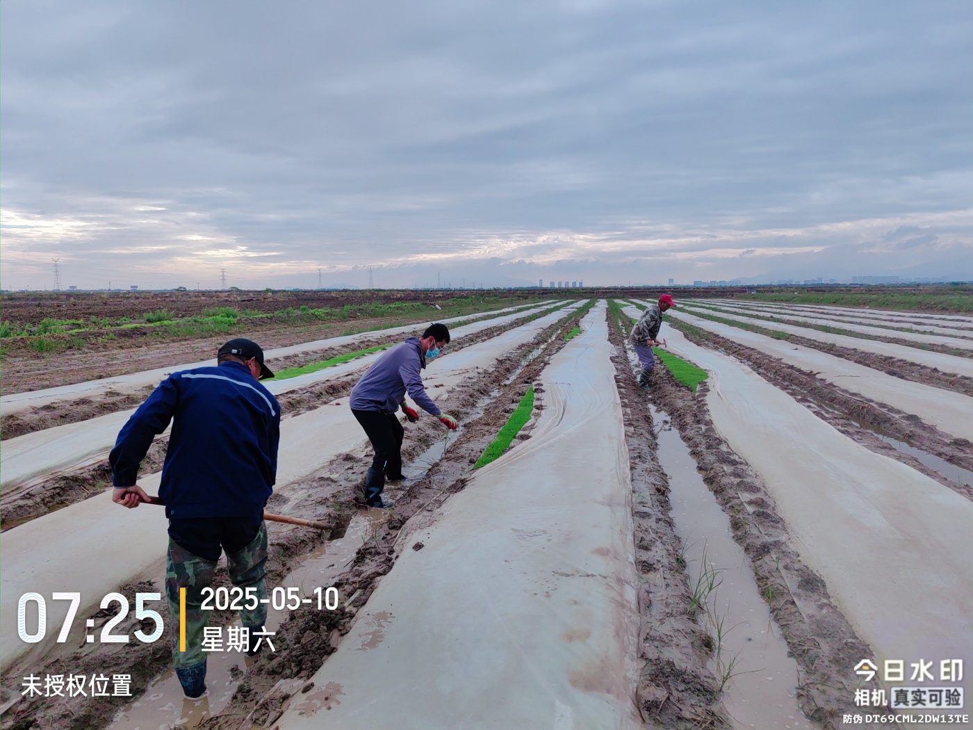 微信圖片_20250512085256_副本